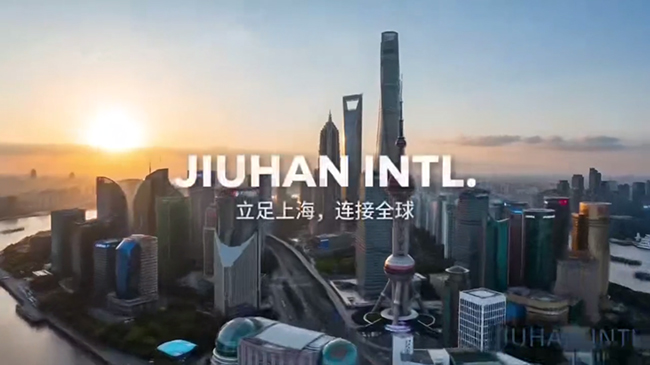 视频标题