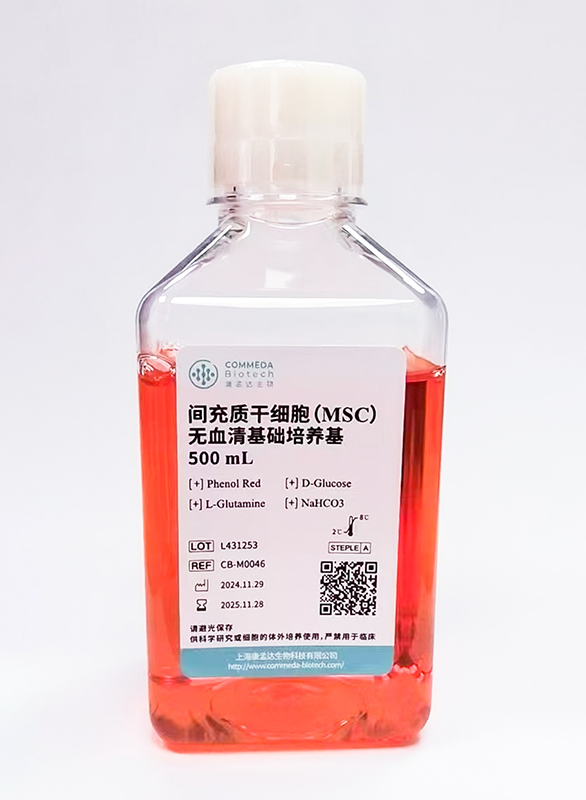 间充质干细胞（MSC）无血清基础培养基