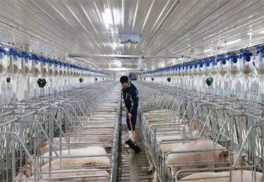 Yuexiu Agriculture and Animal Husbandry