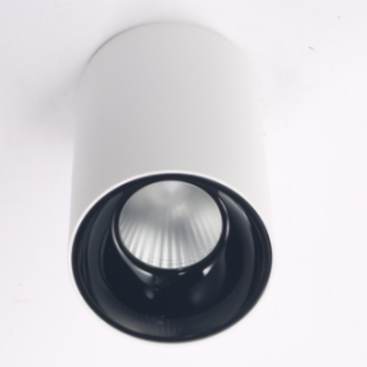 SI-DLDF2-8W